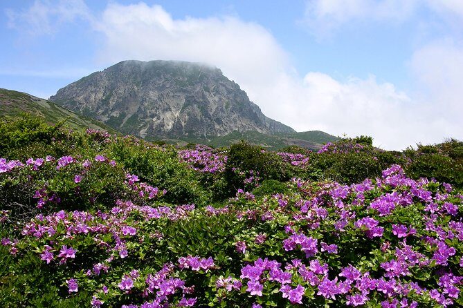 Customized Private JEJU Hiking Tour for 7 days (Mt. Hallasan and Olle Course) - Day 6: Final Coastal Hikes and Island Exploration