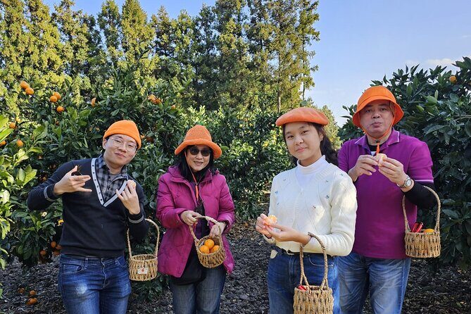 Customized private tour in Jeju island - FAQs