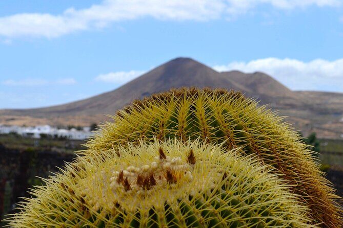 Customized Private Tours of Lanzarote island - A Closer Look at the Itinerary and Experiences