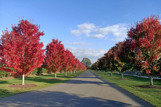 Customized private winery day tour in Yarra Valley at your own choices - The Experience in Detail