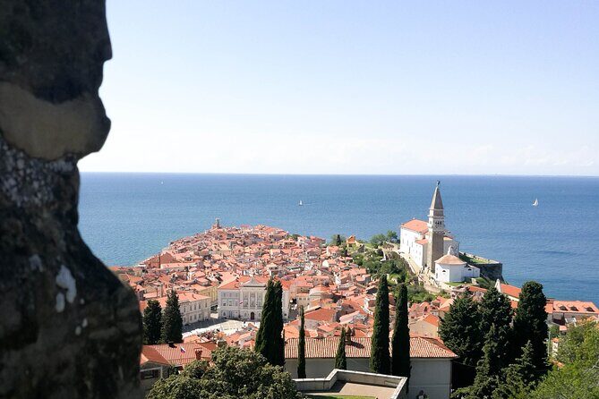Customized Slovenian Adventure from Koper or Piran - Transportation and Comfort