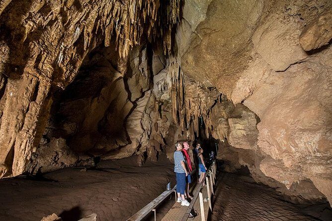 Cutta Cutta Caves Nature Park Guided Tours - The Practicalities