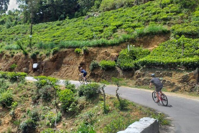 Cycle from Adam's Peak to Kithulgala and go white water rafting - Who Will Love This Tour?