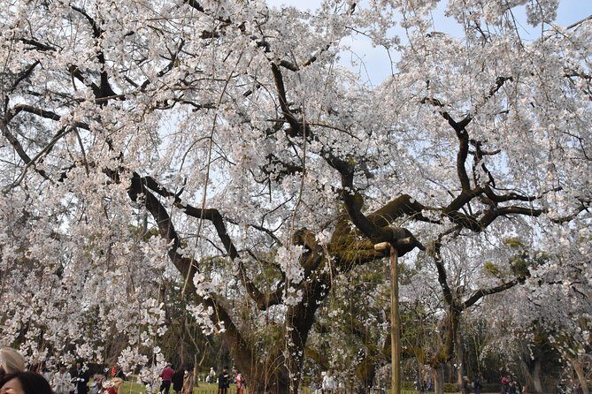 Cycle Kyoto's Hidden Gems & Gion Stroll - FAQ