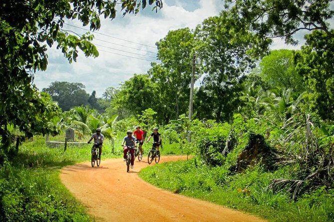 Cycling Expedition in Yala from Hambantota Harbor - Final Thoughts