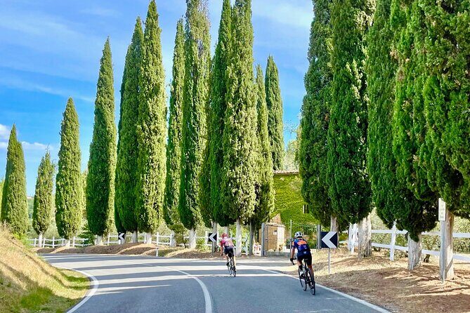 Cycling in Tuscany TOP experience - 1 day race bike rental - Authentic Experiences and Tips from Reviewers