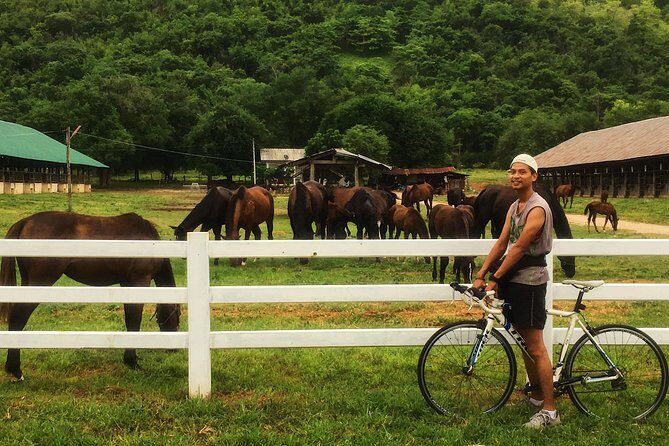 Cycling to visit Local Experience and Learn Culture with Local expert - A Deep Dive into the Tour Experience