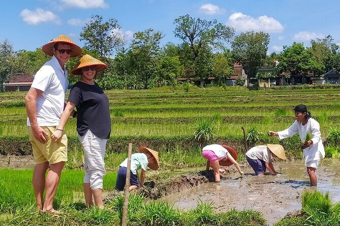 Cycling Tour in Yogyakarta with Lunch 3-Hour - Starting with Comfort and Convenience