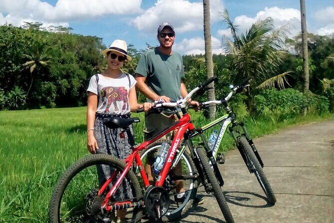 Cycling Tour in Yogyakarta with Lunch 3-Hour - Exploring Kulon Progo: Rural Roads and Rice Terraces