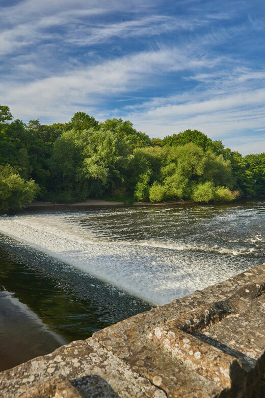 Cycling tour through the green Hannover - An In-Depth Look at the Cycling Tour Experience