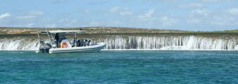 Cygnet Bay Unique Tidal Waterfall Reefs Scenic Cruise - An Introduction to the Tour