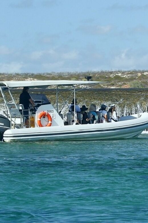 Cygnet Bay Unique Tidal Waterfall Reefs Scenic Cruise - The Sum Up