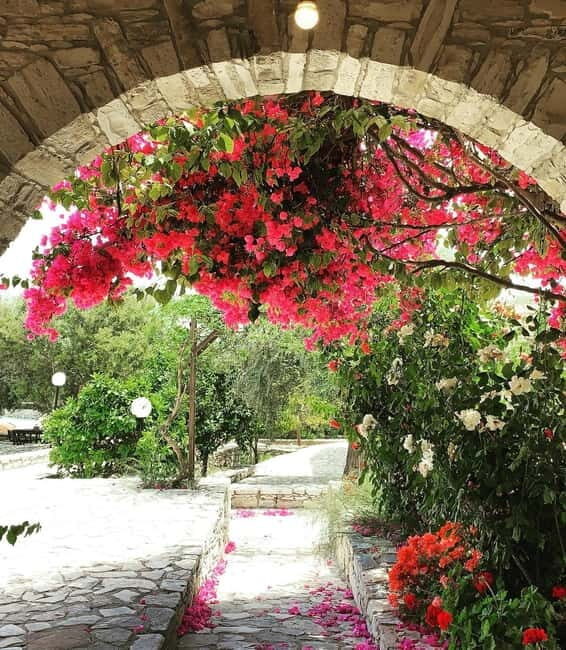 Cypriot Traditions and Donkey Adventures - A Full Review of the Experience