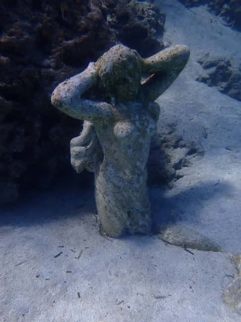 Cyprus: Introductory Scuba Lesson and Dive with Transfer - Key Points