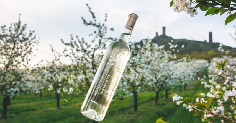 Czech Vineyards and Wine Tasting 4WD Tour with Lunch - An In-Depth Look at the Czech Vineyards and Wine Tasting Tour