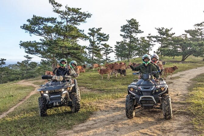 Da Lat Highland Adventure and ATV Scenic Trails Exploration - Authentic Experience and Tips