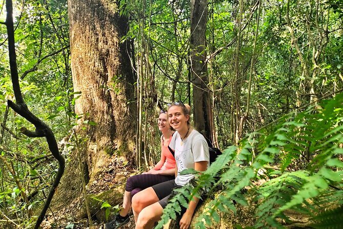 Da Lat Trekking to Langbiang Mountain with Coffee View - Choosing the Secret Jungle Trail to the Summit