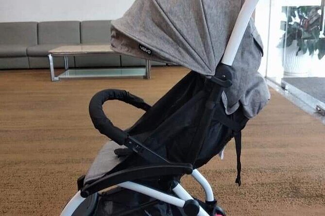 Da Nang Baby Stroller/Safety Car Seating or Wheel Chair Rental - The Sum Up