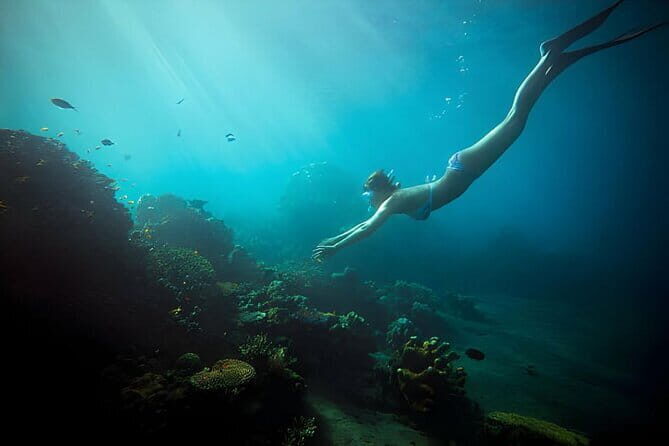 Da Nang: Son Tra Peninsula Exploration - Snorkeling, Fishing - An In-Depth Look at the Experience