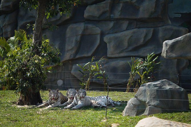 Da Nang: South Hoi An River Safari With Candle-lit Beach Dinner - FAQ