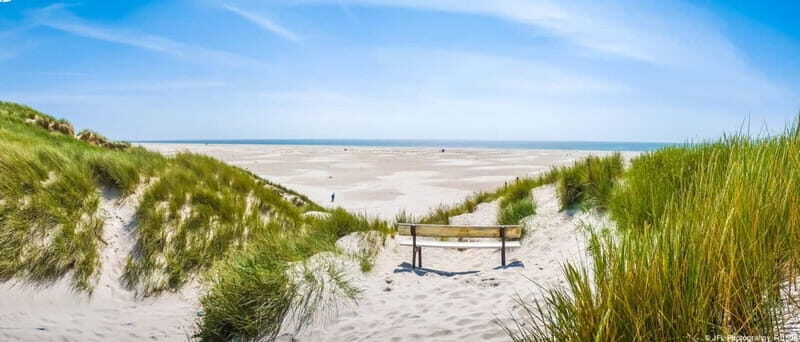 Dagebüll: Daytrip by boat to Amrum - Detailed Itinerary Breakdown