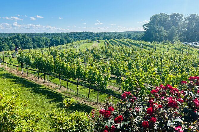 Dahlonega Wine & Dine Private Tour from Atlanta - Exploring the Itinerary: What’s in Store