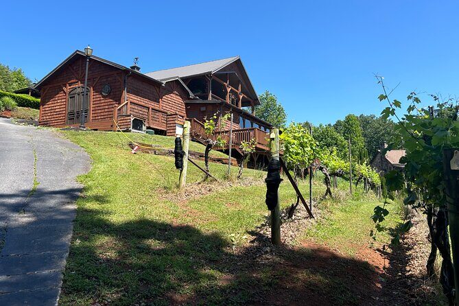 Dahlonega Wine & Dine Private Tour from Atlanta - The Experience from a Traveler’s Perspective