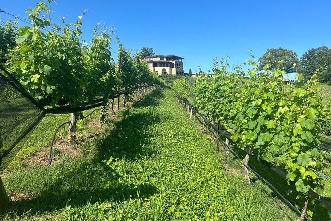 Dahlonega Wine & Dine Private Tour from Atlanta - Practical Tips for Making the Most of Your Tour