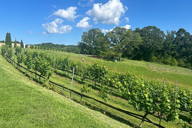 Dahlonega Wine & Dine Private Tour from Atlanta - The Sum Up