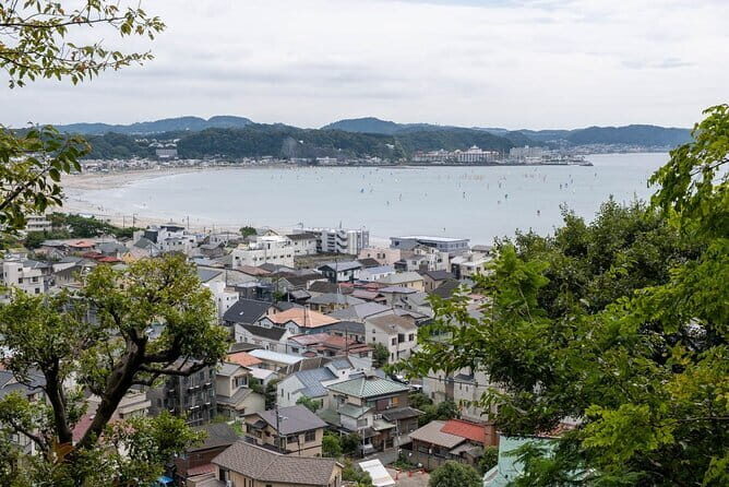DAIBUTSU Kamakura Walking Private 3 Hours Tour - Discovering Kamakura: What to Expect from the Tour