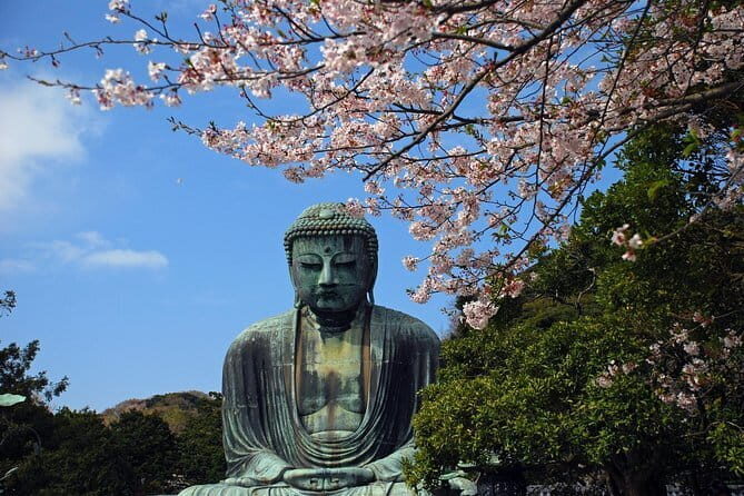 DAIBUTSU Kamakura Walking Private 3 Hours Tour - Who Should Consider This Tour?