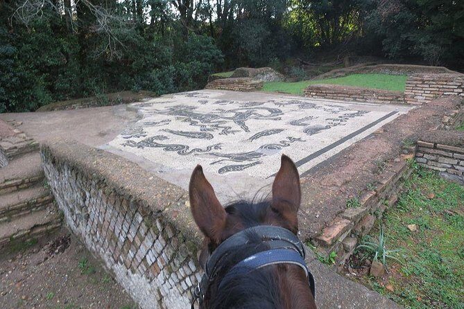 Daily Animals Lovers : Horseback ride with meals & wine included - An In-Depth Look at the Experience