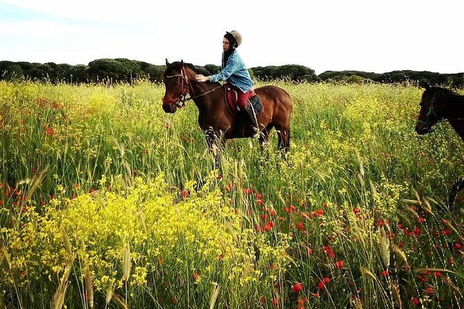Daily Animals Lovers : Horseback ride with meals & wine included - The Sum Up