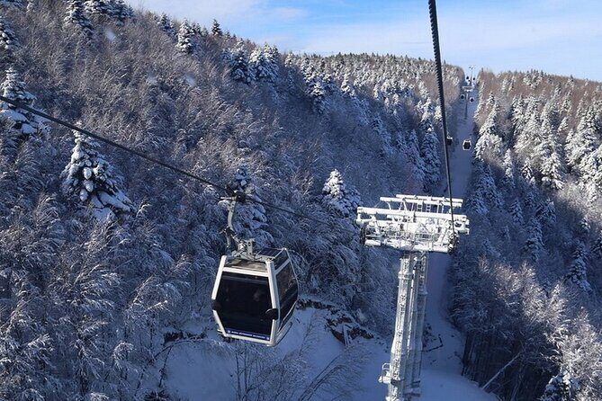 Daily Bursa Uludag Mountain & Cable Car Tour with Lunch from Istanbul - Frequently Asked Questions