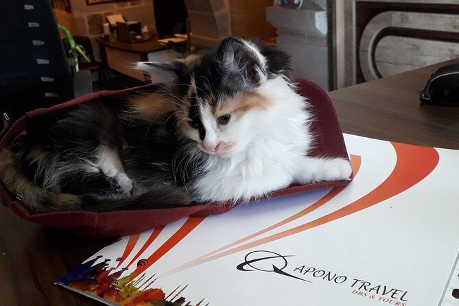 Daily Cappadocia North Tour - The Sum Up