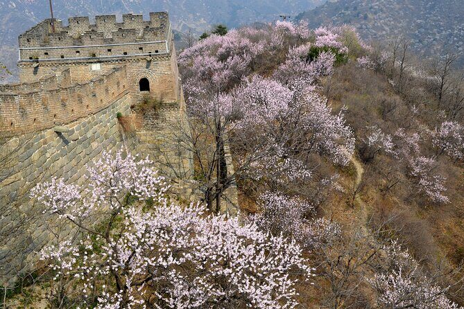 Daily Departure: Mutianyu Great Wall Bus Tour (Max. 8 Hours) - The Sum Up
