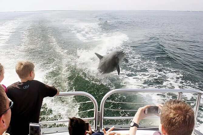 Daily Dolphin Cruise + Sightseeing Tour on Pensacola Beach - Who Should Book This Tour?
