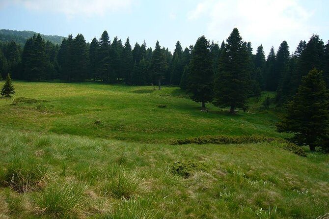 Daily Green Bursa Tour From Istanbul - Final Thoughts