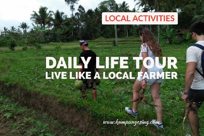 Daily Life Tour: Live Like A Local Farmer - A Practical, Honest Look at the Banyuwangi Farming Tour