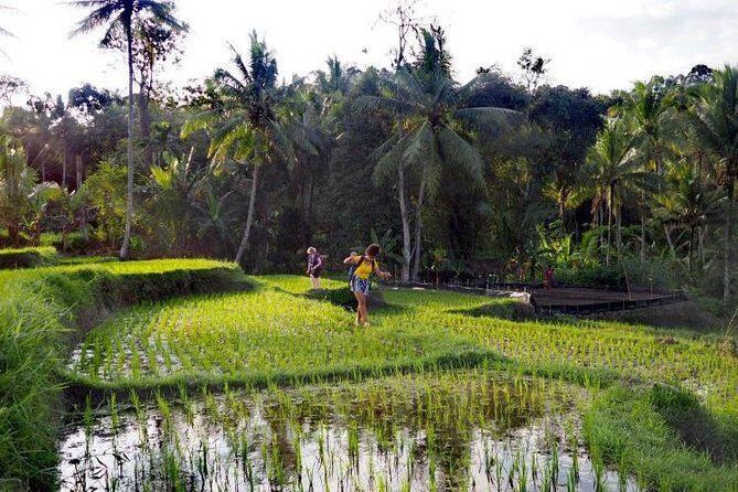Daily Life Tour: Live Like A Local Farmer - What Makes This Tour Stand Out?