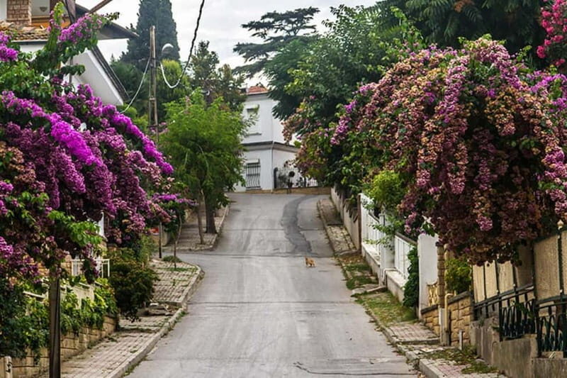 Daily Princes Island Tour from Istanbul - FAQ