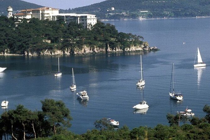 Daily Princes' Islands Tour with Lunch from Istanbul - FAQ