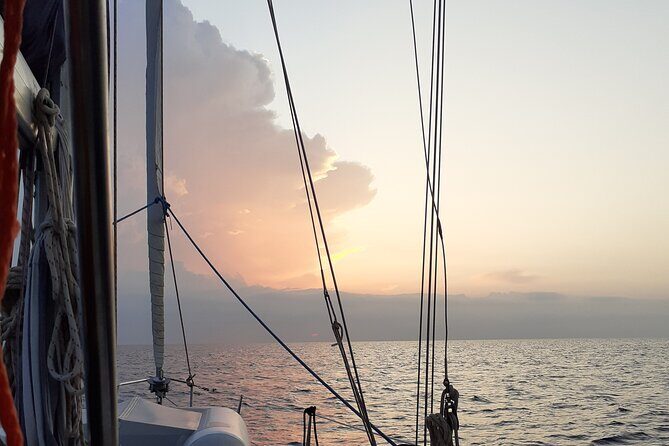 Daily Sailing Tour in Palermo with lunch. - Final Thoughts