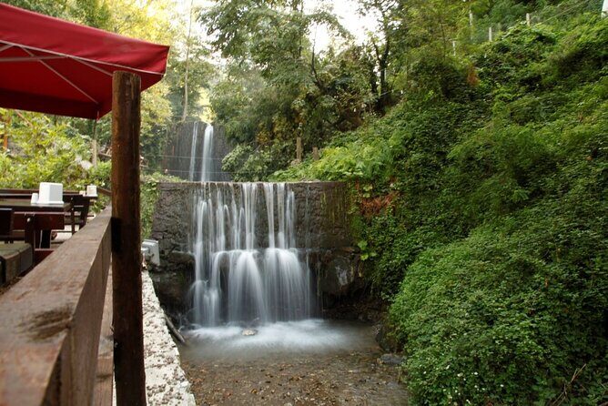 Daily Sapanca & Maukiye & Mahmudiye Tour with Lunch from Istanbul - An In-Depth Look at the Itinerary