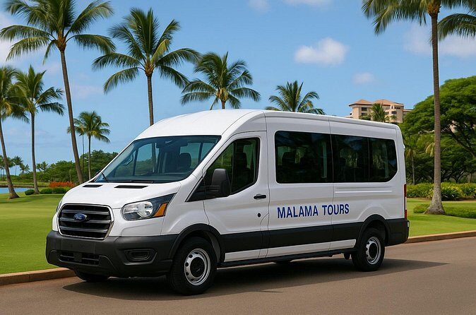 Daily Shuttle from Ko Olina to Waikiki - Final Thoughts: A Solid Choice for Stress-Free Sightseeing