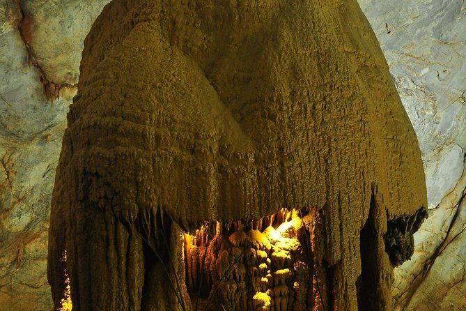 Daily Tour to Paradise and Dark Cave - Authentic Reviews: What Past Travelers Say
