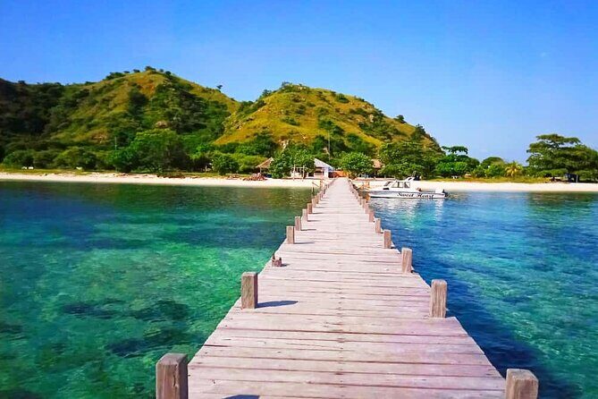 Daily Trip Highlight Komodo Archipelago by Speed Boat - Frequently Asked Questions