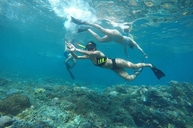 Daily West Nusa Penida Island and Snorkeling Tour with Lunch from Bali - Key Points