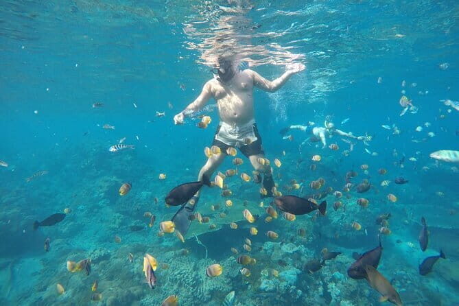 Daily West Nusa Penida Island and Snorkeling Tour with Lunch from Bali - The Practicalities: Transportation, Comfort, and Tips