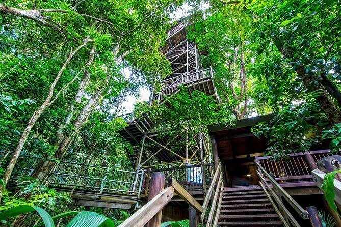 Daintree Discovery Centre Family Pass Ticket - Who Will Love This Experience?